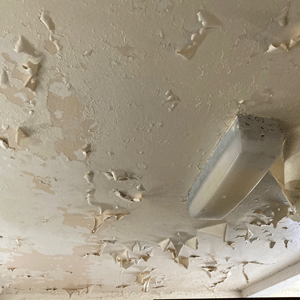 Peeling plasterwork and paint.