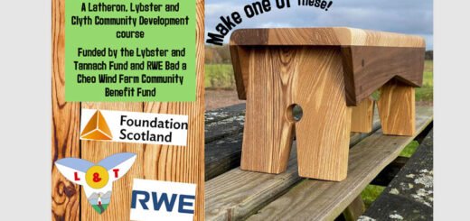 Woodworking class image with creepie stool